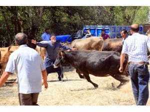 FETÖ'nün darbe girişimine ilişkin soruşturma