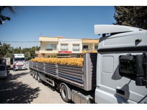 Fırat Kalkanı Harekatı