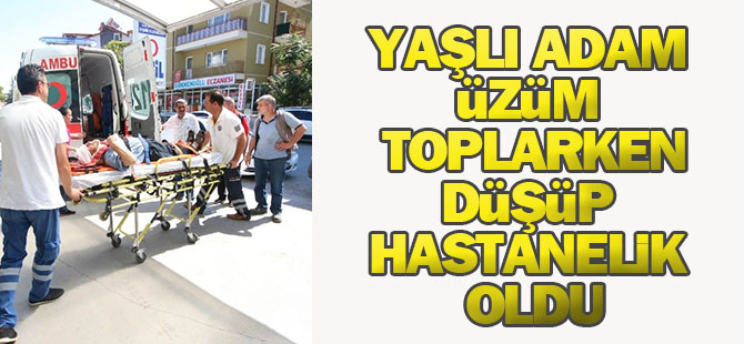 Üzüm Toplarken Düşüp Hastanelik Oldu