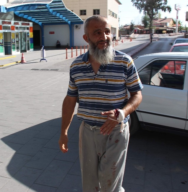 Konya'da Acemi Kasaplar İş Başında