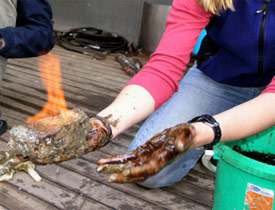 Türkiye'yi uçuracak gelişme! Enerjide 'gaz hidrat' dönemi