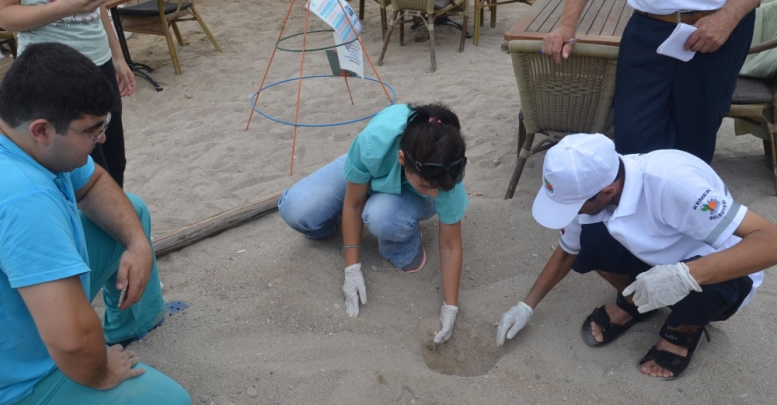 Son caretta caretta yuvasından çıkan yavrular denizle buluştu