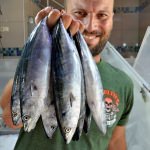 "Palamut bolluğu devam edecek"