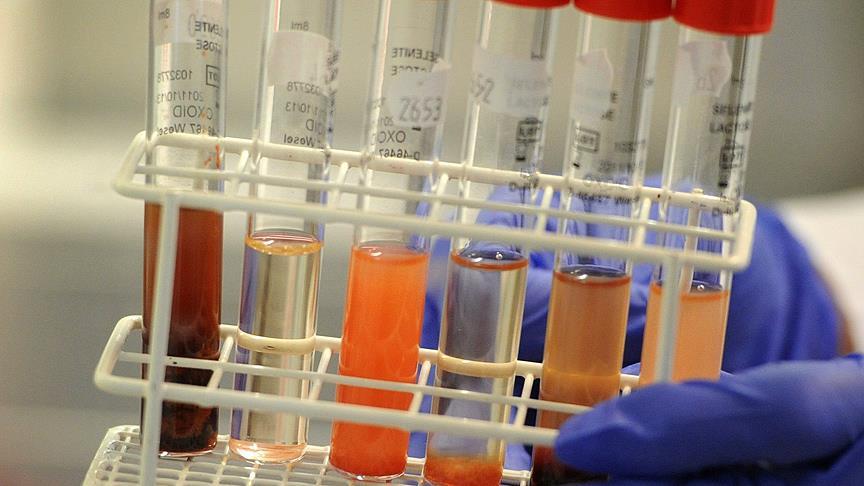 Türkiye'de 1,5 milyon kadına HPV-DNA taraması