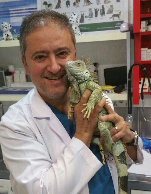 "İguş" sahibini buldu