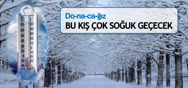 Uyarı geldi: Bu kış çok soğuk geçecek!