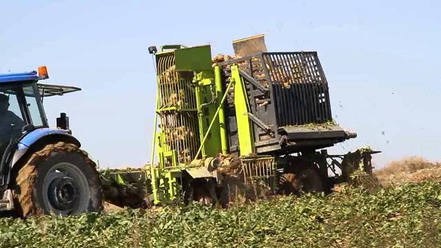 Pancar makinesine ayağını kaptırdı