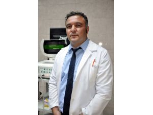 "Kedi ve köpeklerde kanser vakaları artıyor"