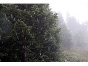 Bolu'ya mevsimin ilk karı yağdı