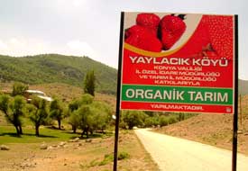 Organik ürün fabrikaları kuruluyor