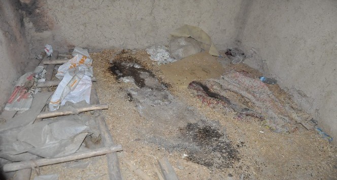 Metruk binada çürümüş erkek cesedi bulundu