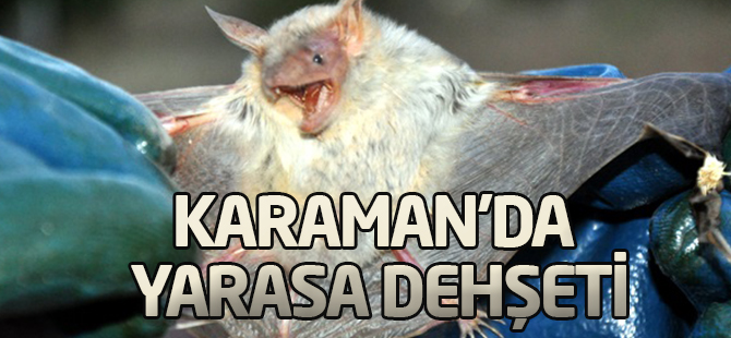 Yarasanın ısırdığı genç kuduzdan öldü