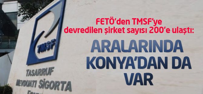 TMSF'ye devredilen şirket sayısı 200'e ulaştı: Aralarında Konya'dan da var