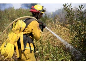 Santa Cruz Dağları'ndaki orman yangını