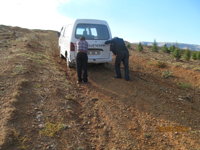 Eberdesliler yol ve su istiyor