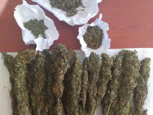 Seydişehir’de torbacı tutuklandı -