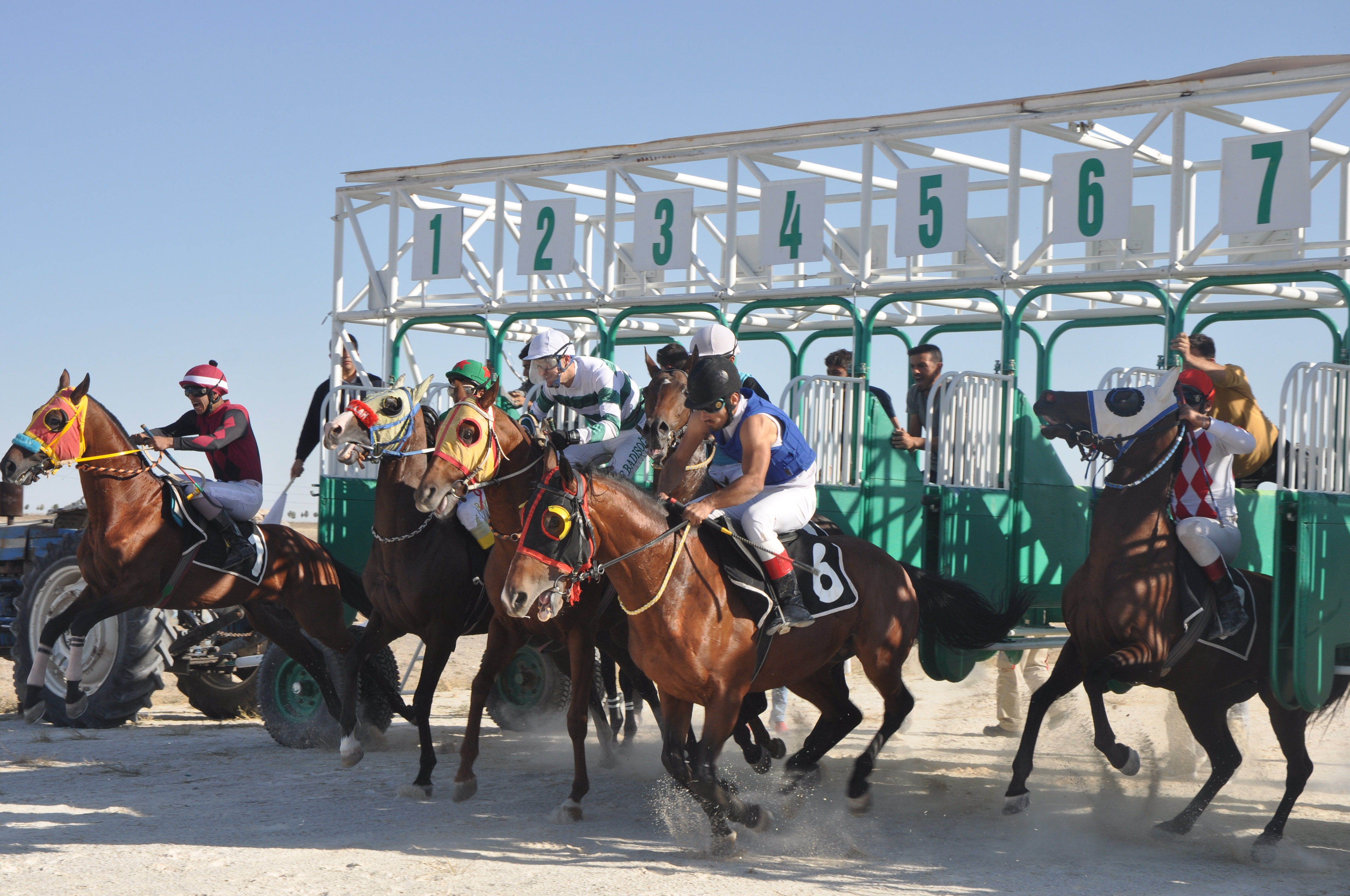 Konya'da Safkanlar kıyasıya yarıştı