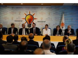 Enerji ve Tabii Kaynaklar Bakanı Albayrak: