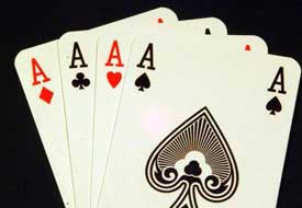 '1 numara' için AV başladı