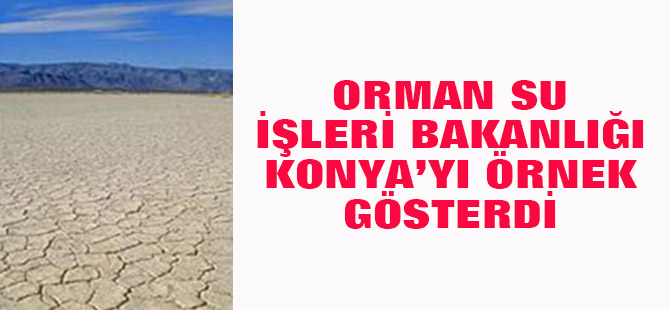 Orman Su İşleri Bakanlığı Konya'yı örnek gösterdi