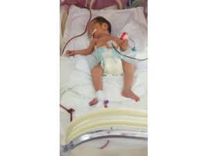 Organlarıyla 6 kişiye hayat veren kadın