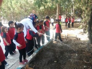 Türmak’ta yaparak-yaşayarak öğrenme modeli