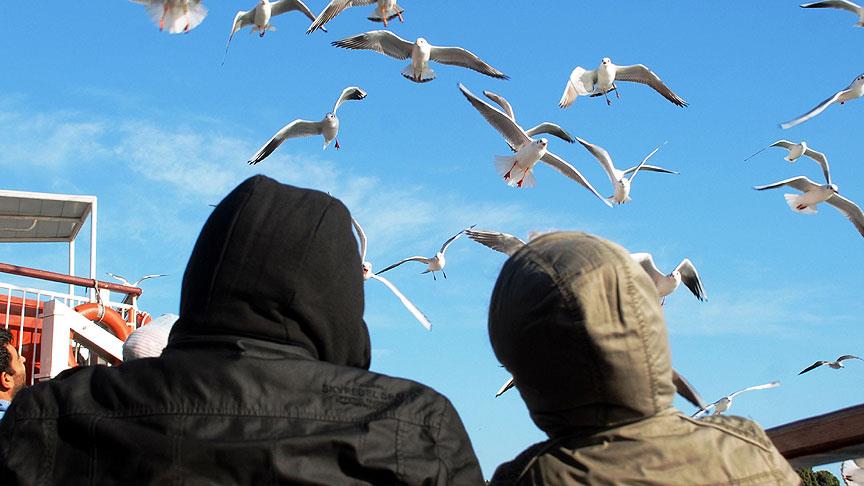 Martıya simit atarken denize düştü