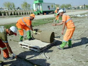 Konya Büyükşehir Belediyesi, kendi çimini kendi üretiyor