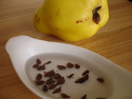 Ayva Çekirdeği mucizesi