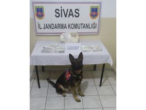 Sivas'ta uyuşturucu operasyonu
