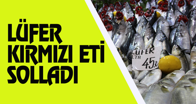 Çanakkale’de kilosu 50 liraya satılan lüfer el yakıyor.