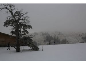 Bolu'da kar yağışı