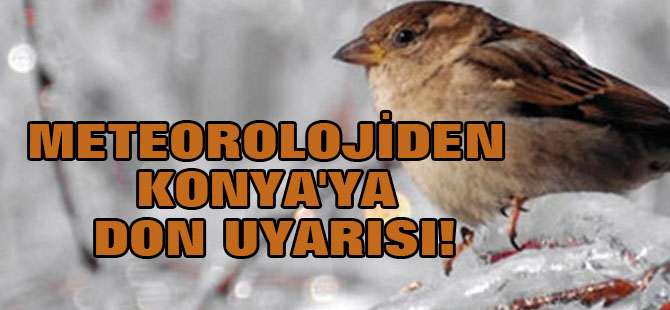 Meteorolojiden Konya'ya don uyarısı!
