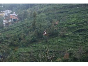 Rizeli kadınların zorlu yolculuğu