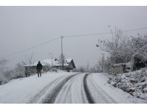 Düzce'de kar yağışı