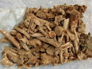 Tarihi mezardan hediye eserler çıktı