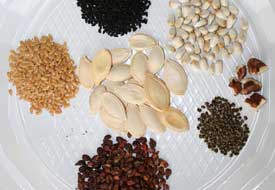 Bitki yağları sağlık kaynağı