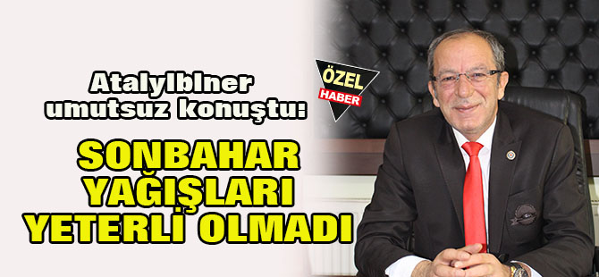 Sonbahar yağışları yeterli olmadı  umutlar bahara kaldı