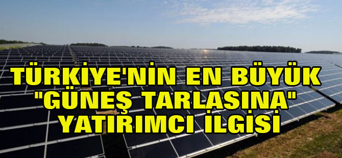 Türkiye'nin En Büyük "Güneş Tarlasına" Yatırımcı İlgisi