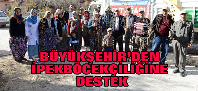 Büyükşehir’den İpekböcekçiliğine Destek