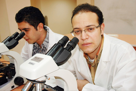Filistinli öğrenciler kalıcı barış istiyor