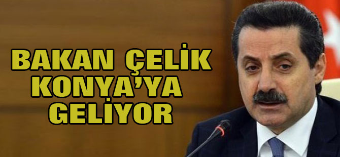 Bakan Çelik Konya'ya geliyor