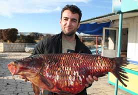 102 TL'lik sazan, müşteri bekliyor