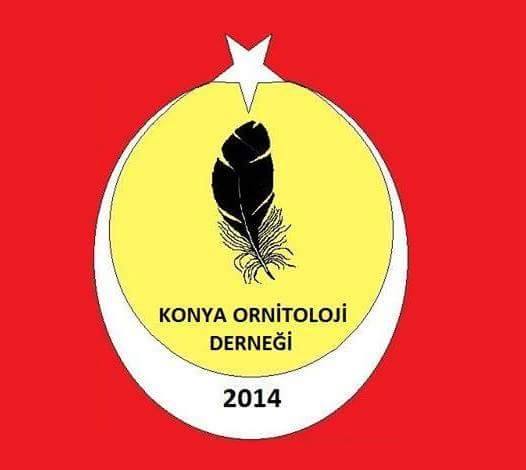 Konya’lı kuşçulardan bir başarı daha