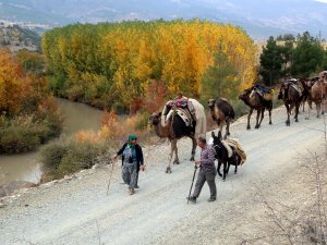 Yağışların azlığı Yörük göçünü etkiledi