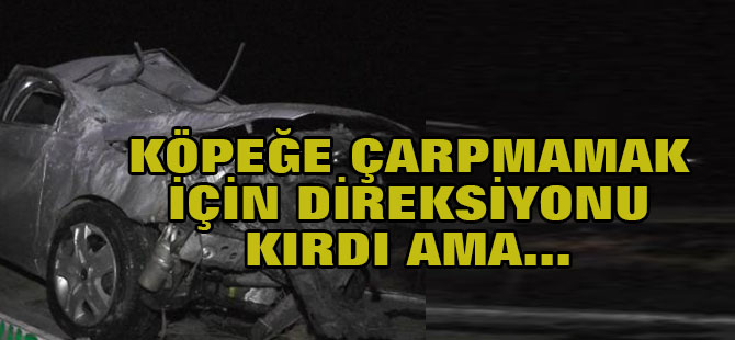 Köpeğe çarpmamak için direksiyonu kırdı ama...