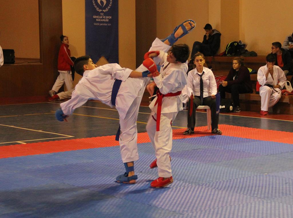 Karateciler, Atatürk için tatamide