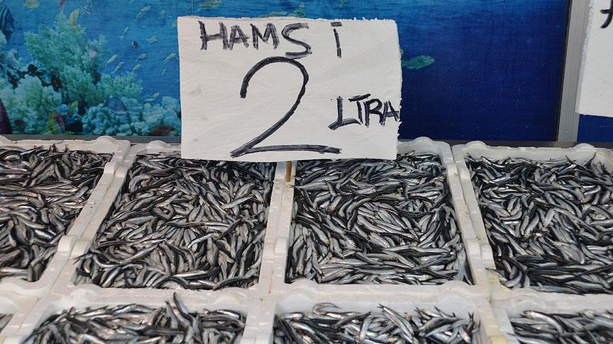 Hamsi fiyatı 2 liraya düştü