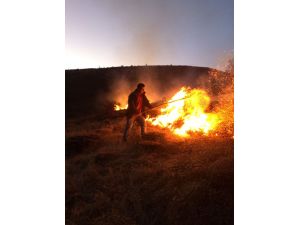 Doğanşar'da ormanlık alanda yangın