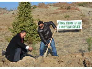 Mihaliççık'ta öğretmenler fidan dikti